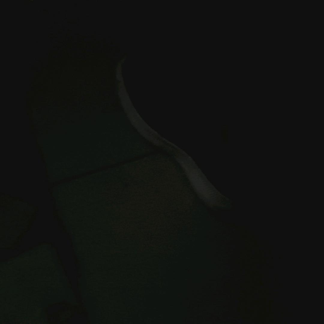 小立子