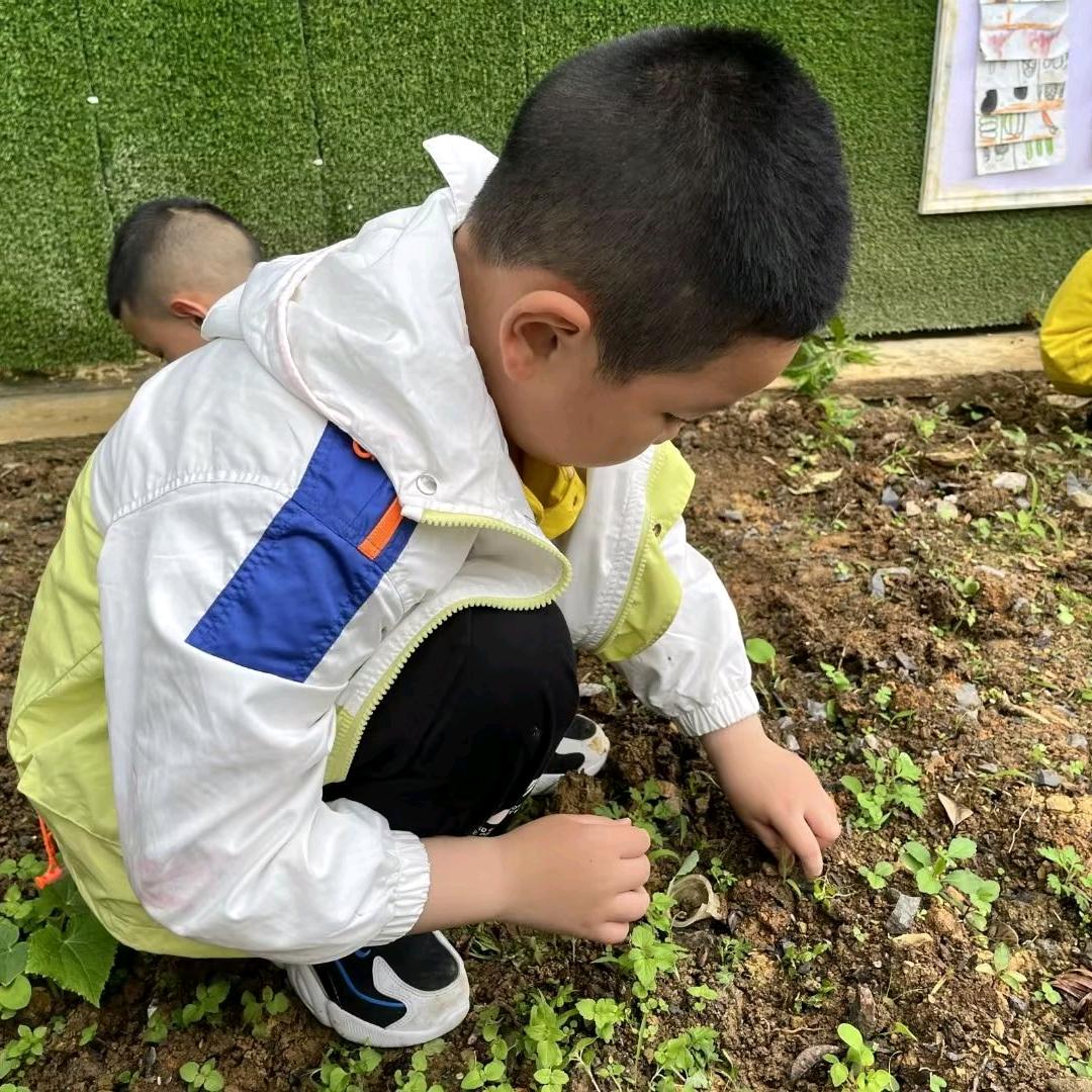 向梦想前进