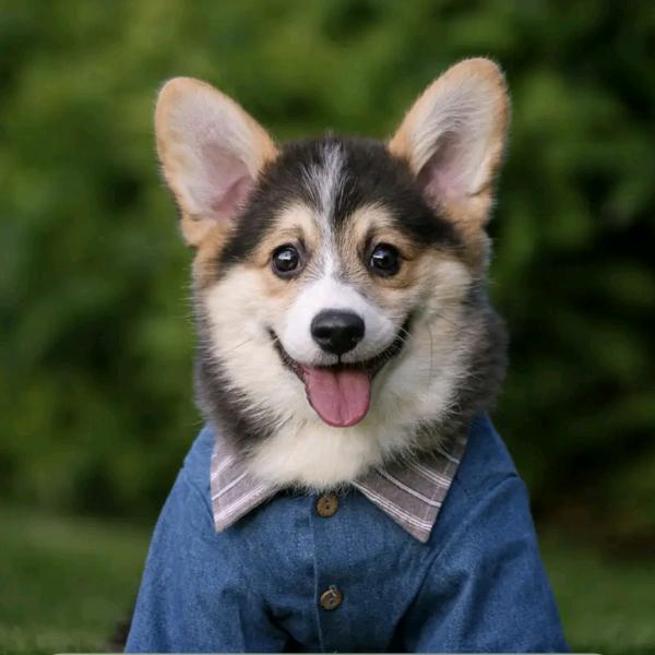 🥀笑敬ꦿ🌿过往🍓