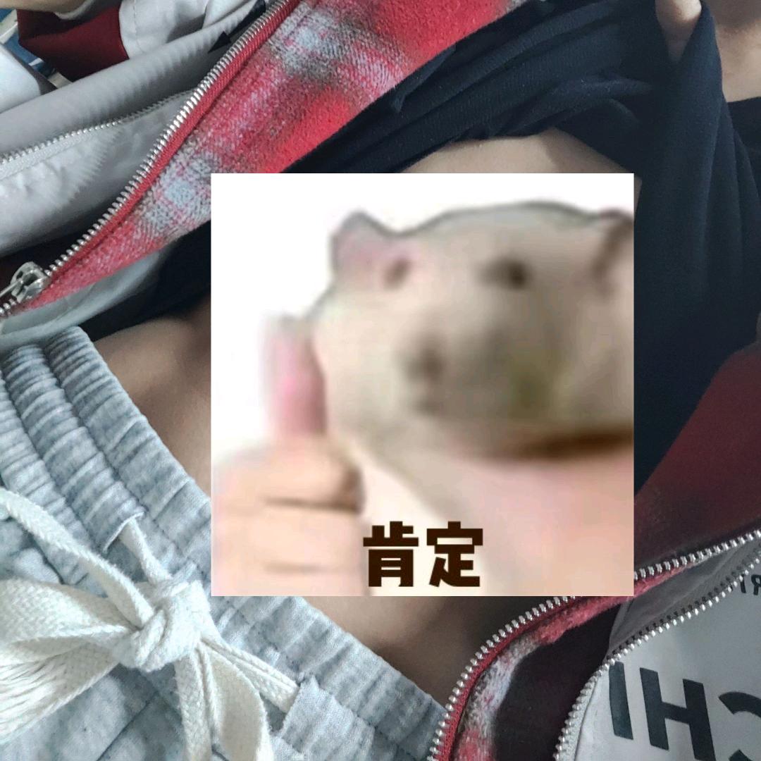 零碎