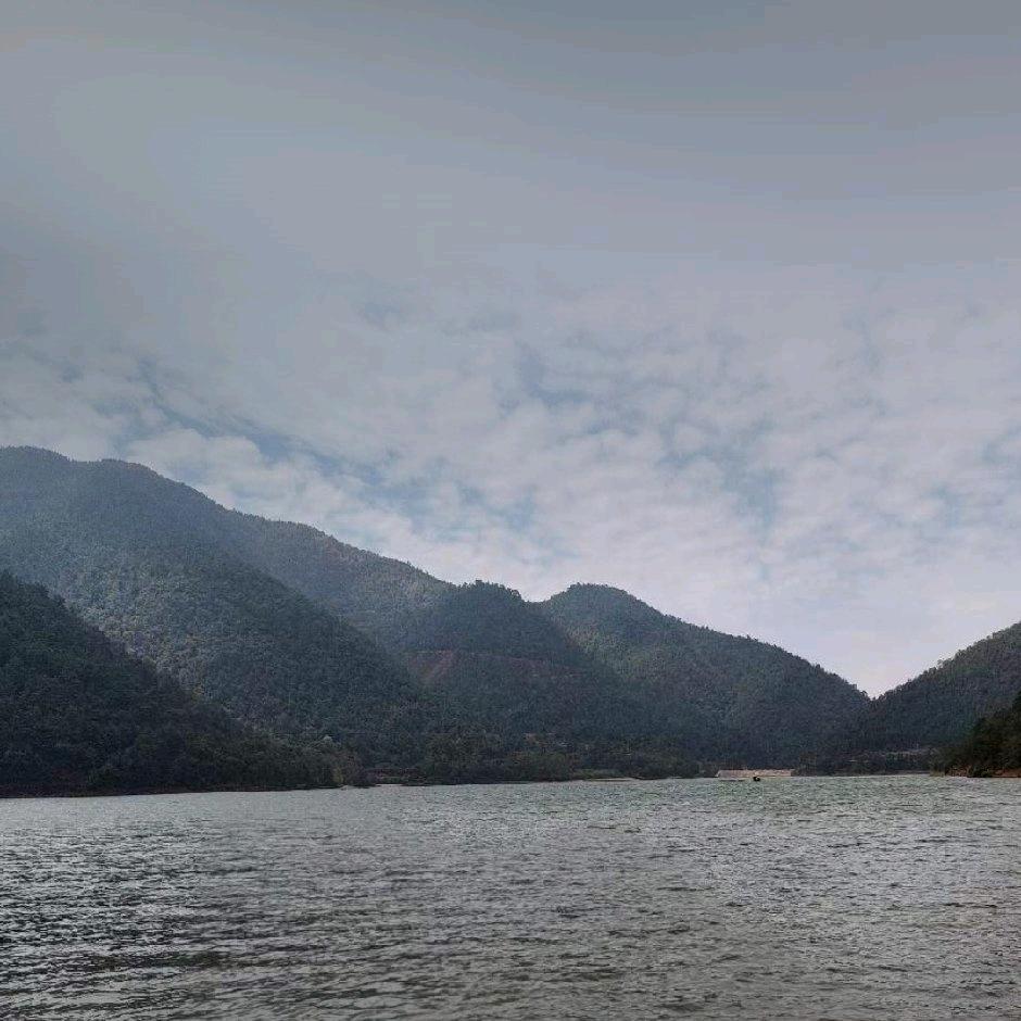 生生世世永不分离！41460790044