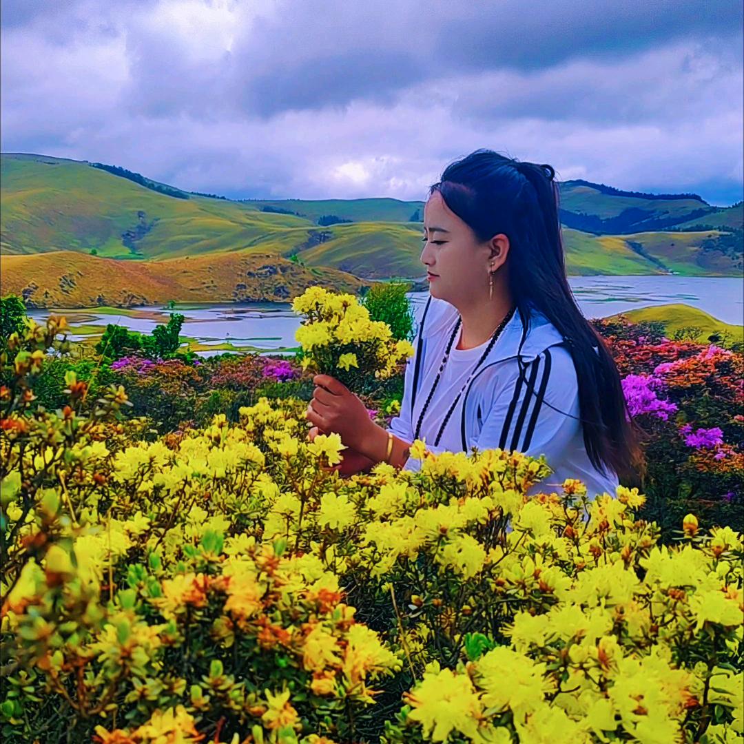 ౪ᩚᐝ静໊ഒᩚ心🦋࿐