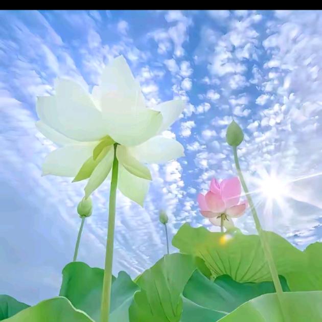 三妹小助理。秀秀