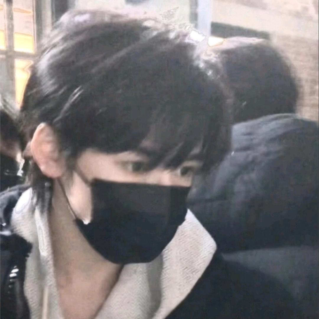 椿释槐
