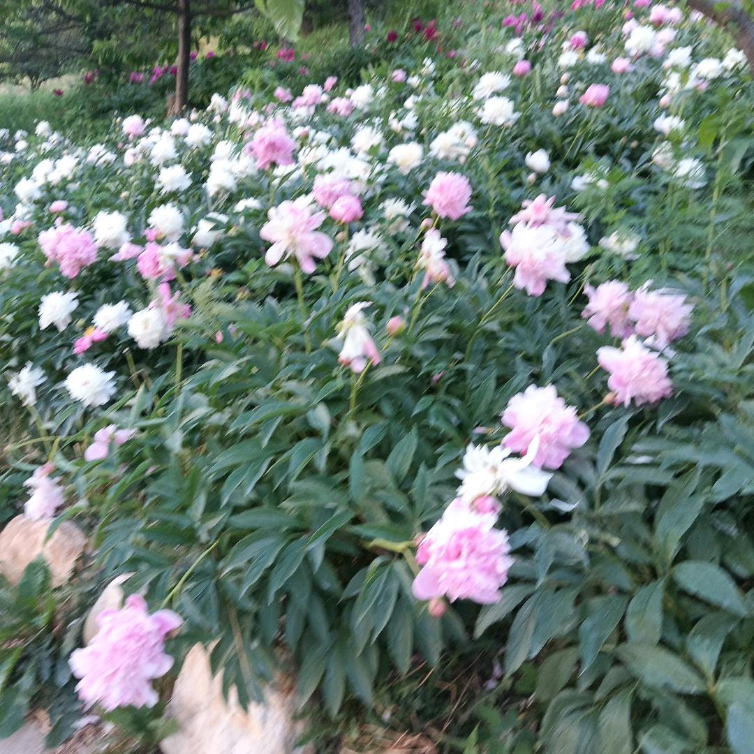 渺渺茫茫
