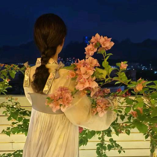 潇潇雨歇@三角梅天地的某个角落