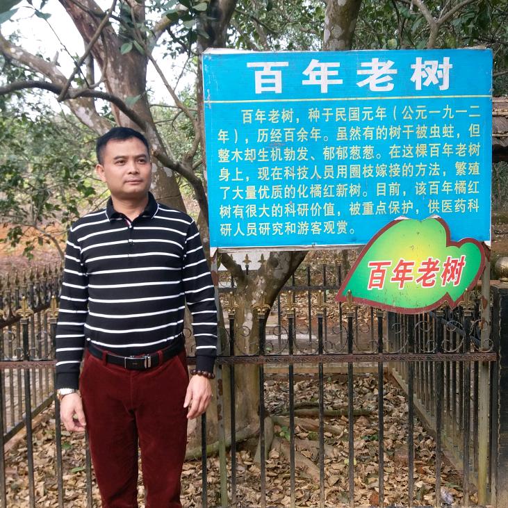 老木子化州橘红