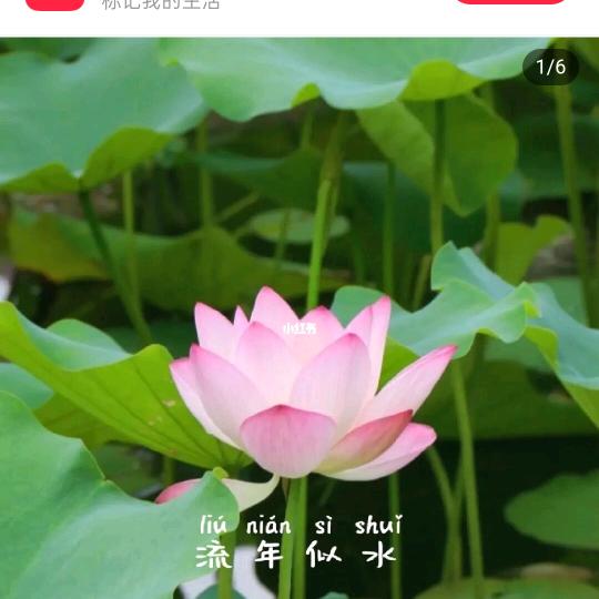 小雨