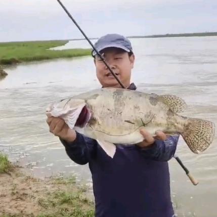 卖黄金的钓鱼佬