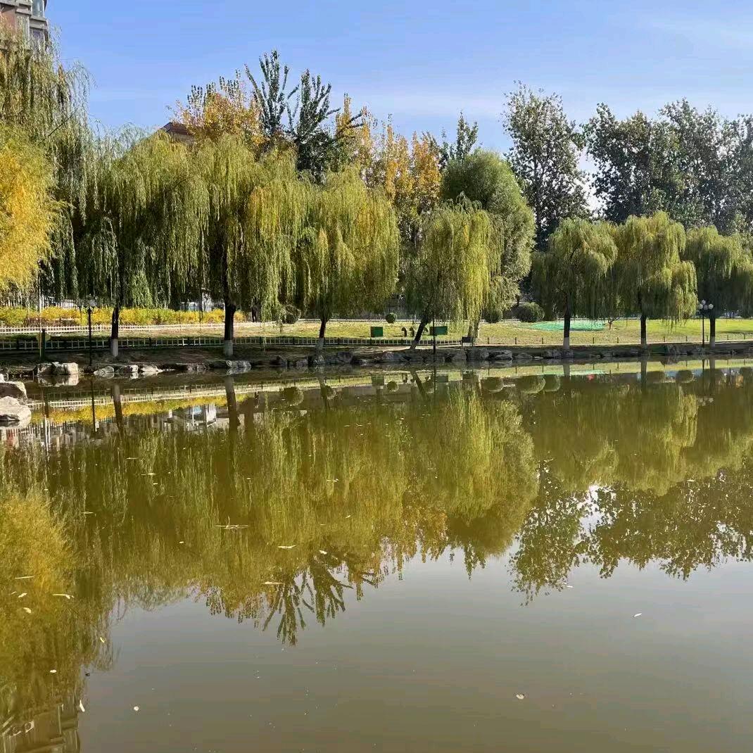 ꕥ᭄张໌້ᮨꦿঞ