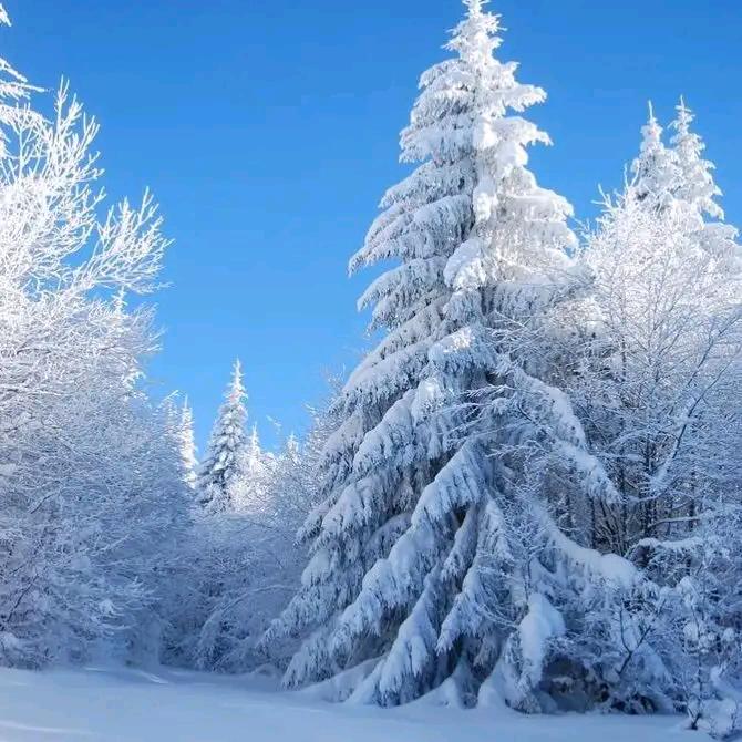 ❄️六月❄️飘雪❄️
