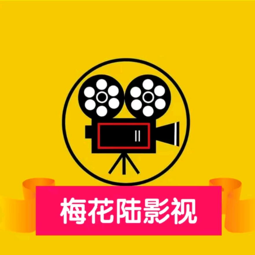 梅花陆影视
