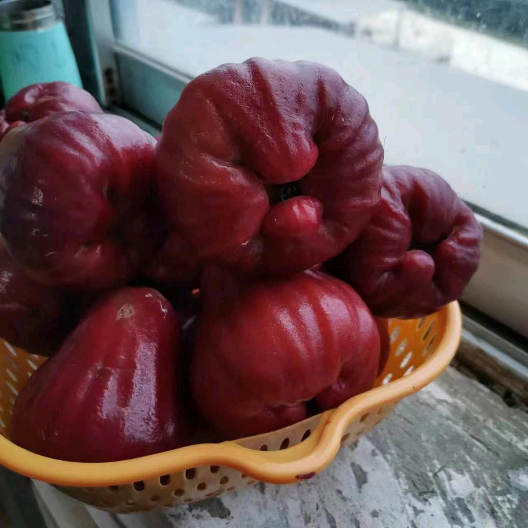 金麒玉麟农货店