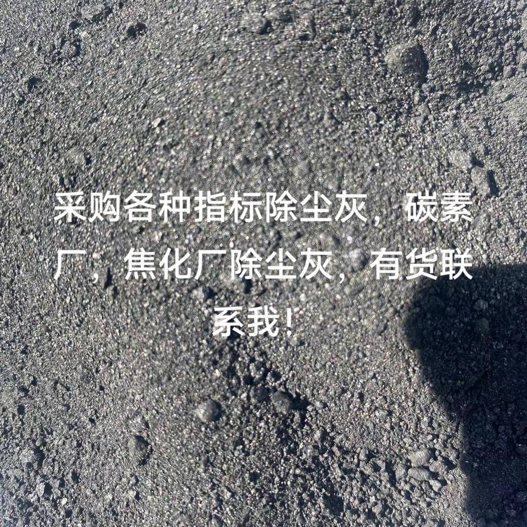 🌲黑碳碳🌲
