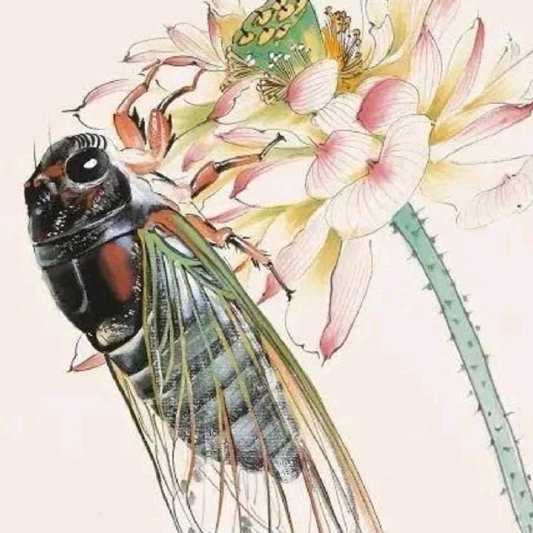 虫鸣