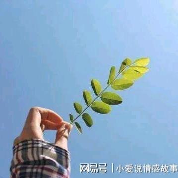 苗