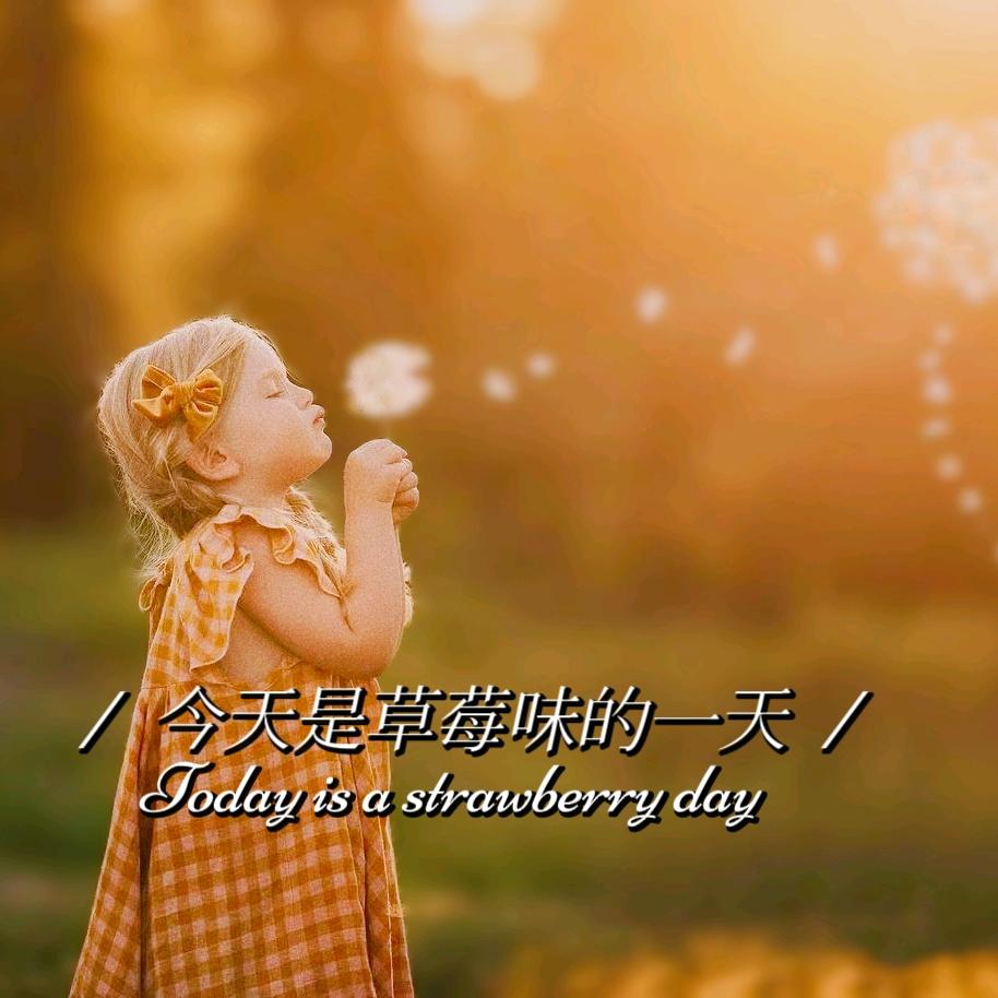 幼崽萌品质童装(萌❷)