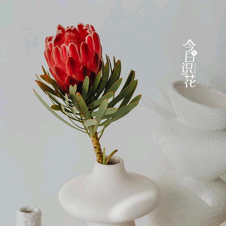 用户7398846805743