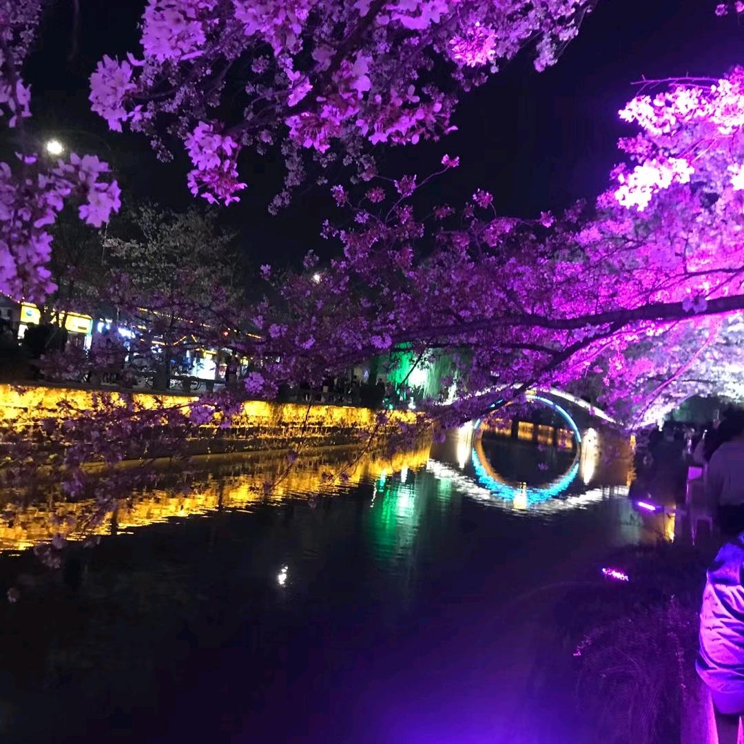 ✨侧颜✨🎵[拒私聊]