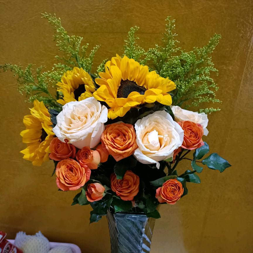 谁把梦想扔在了地上