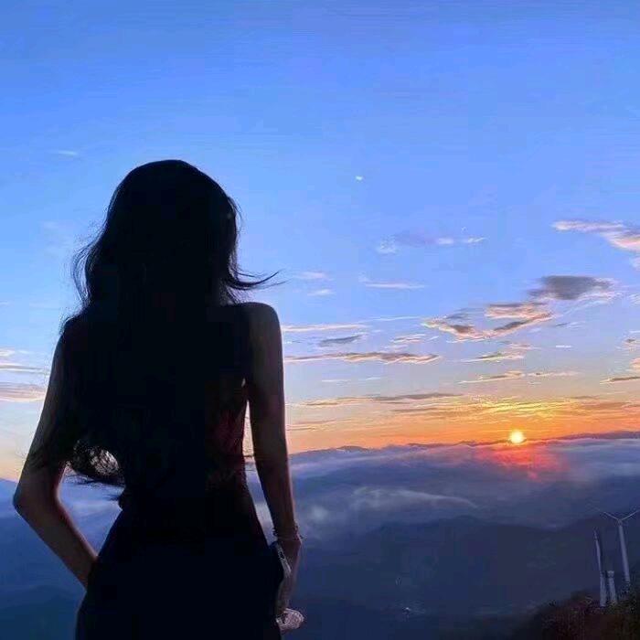 ๑҉🌞洋甘菊🌸