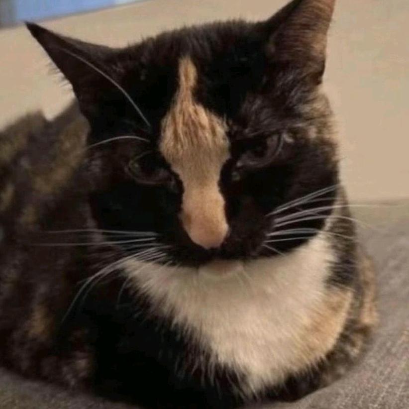 魔法才能打败魔法