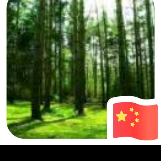 烧烤届的扛把子