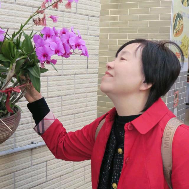 珊剑