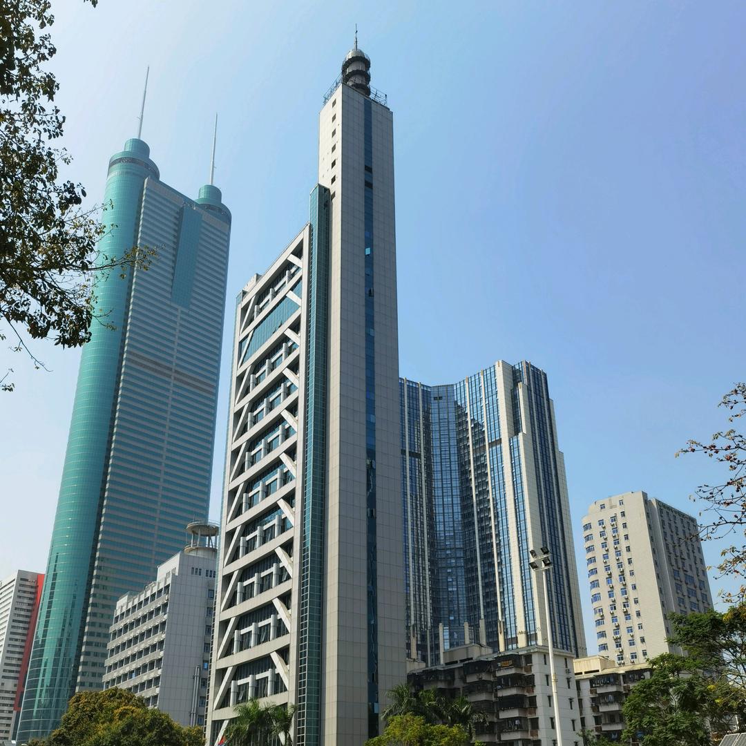 明月照松林