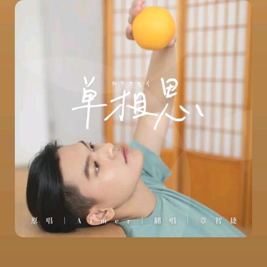 智汇量化AI