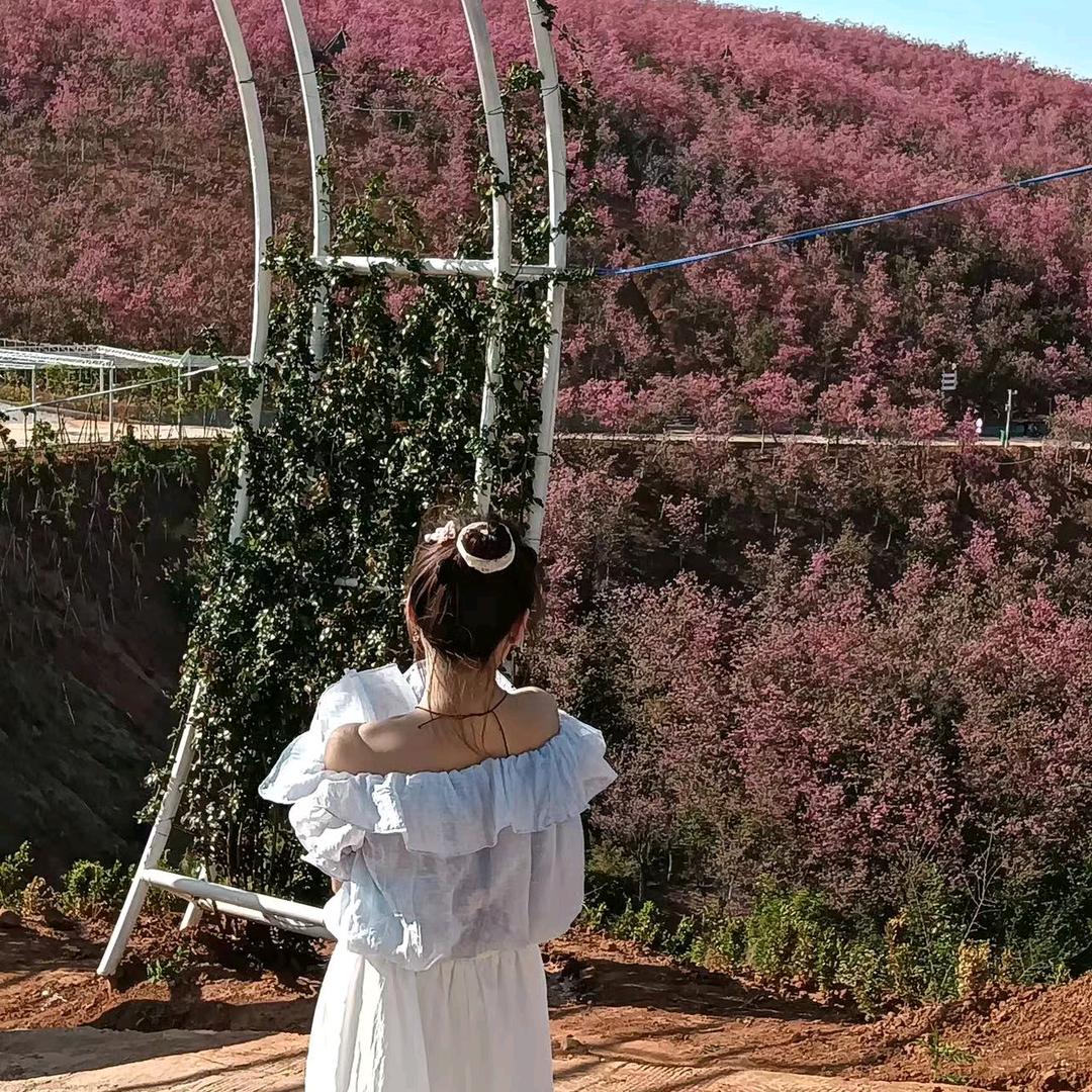 ༺ཉི། 乄夵༒ۣ