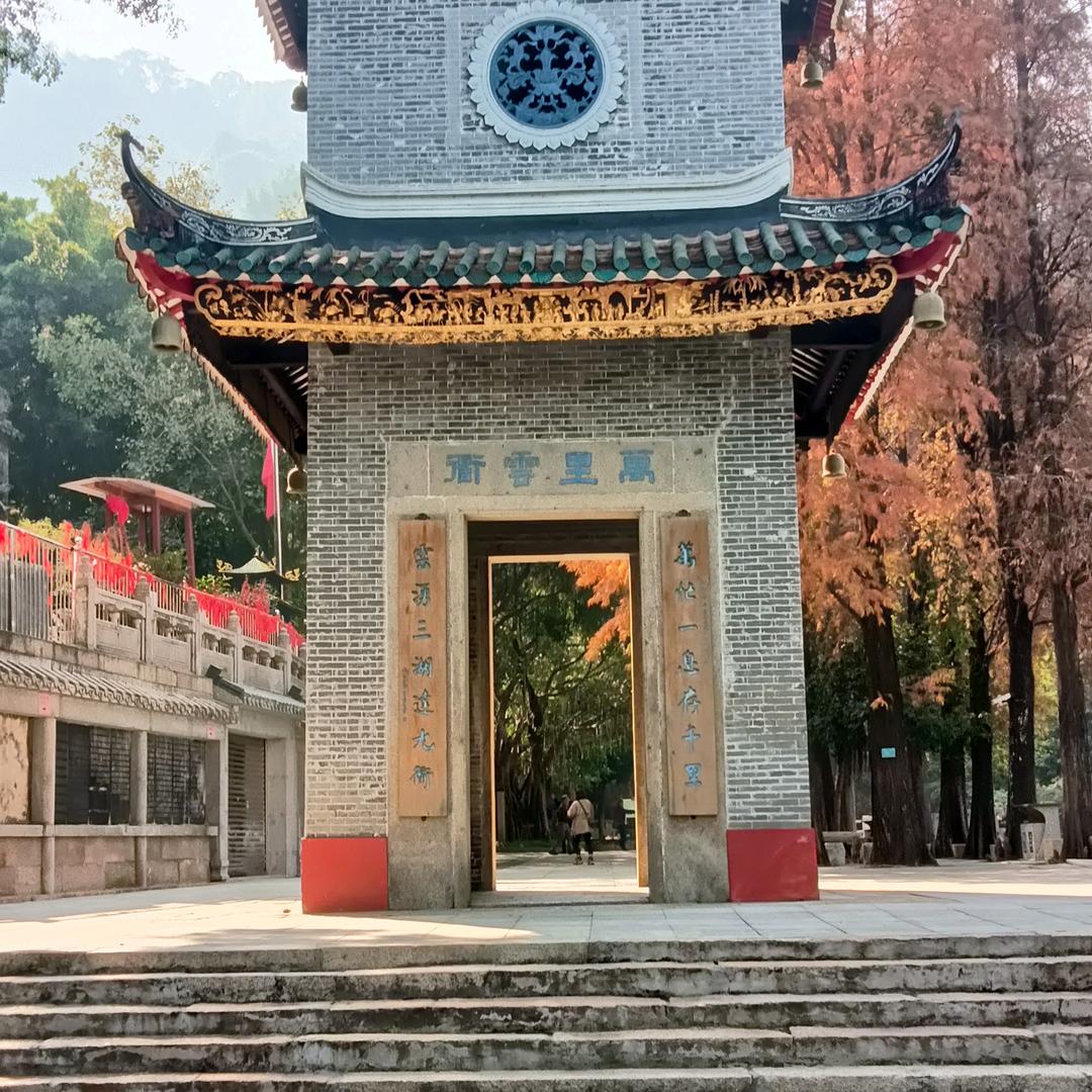 真的着爱你是华哥