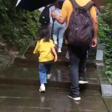 晚菘
