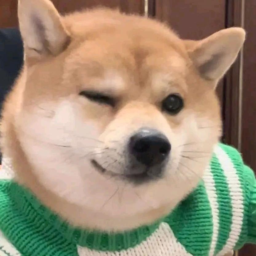 楚歌000055