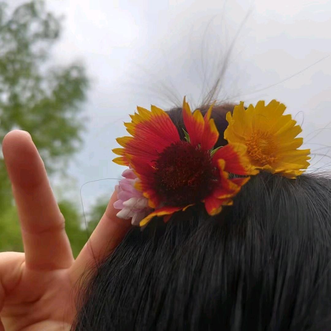 小小樂
