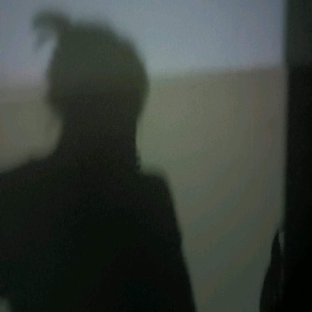 随心，随安，随喜