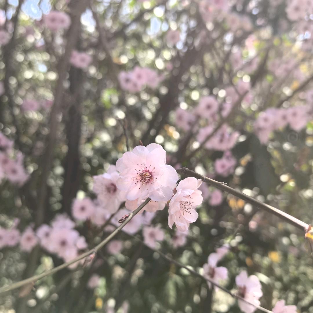 时光不老，我们不散