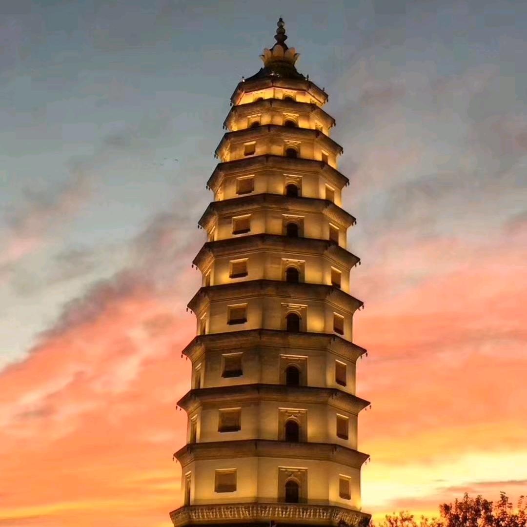 保定人在沙特