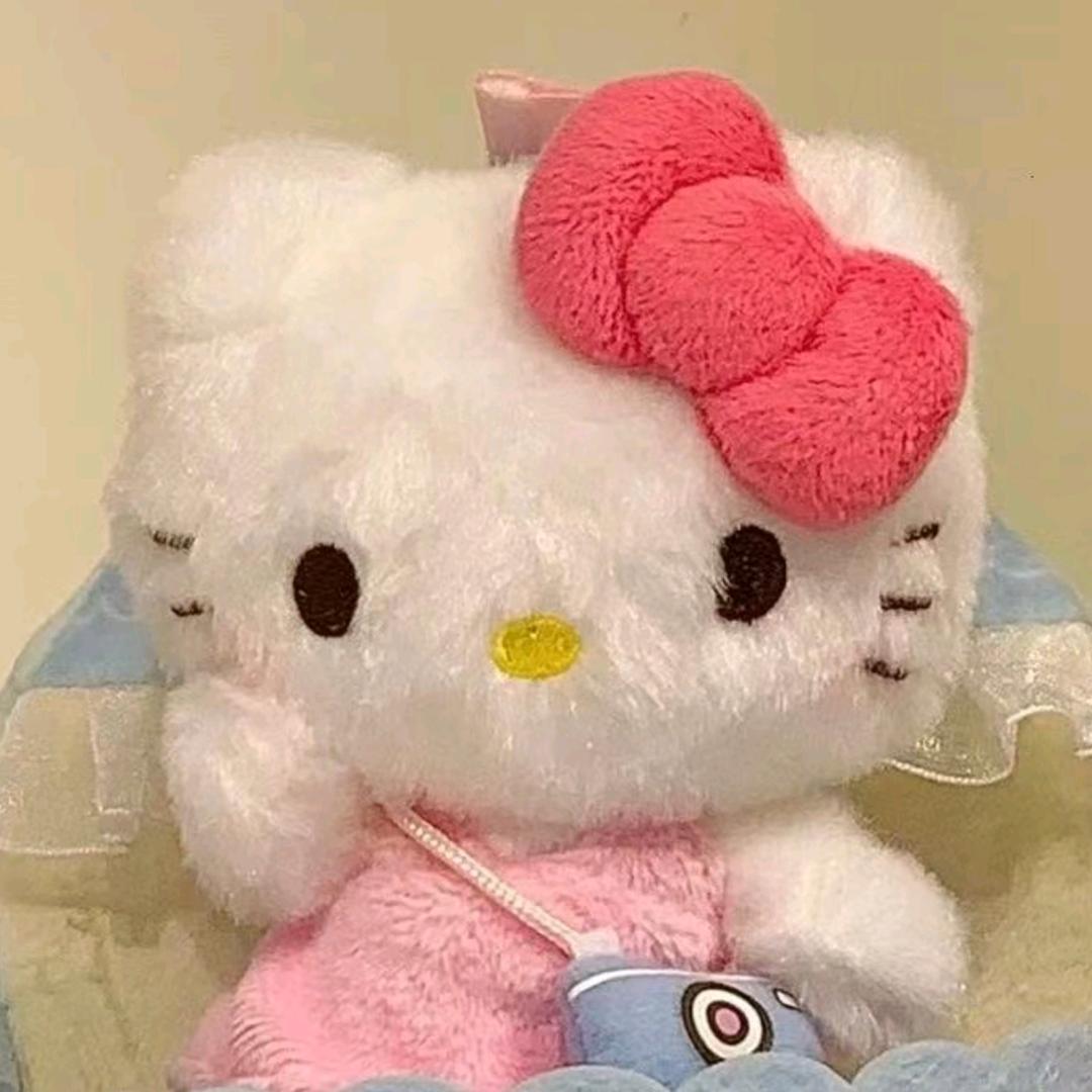 Kitty不在家