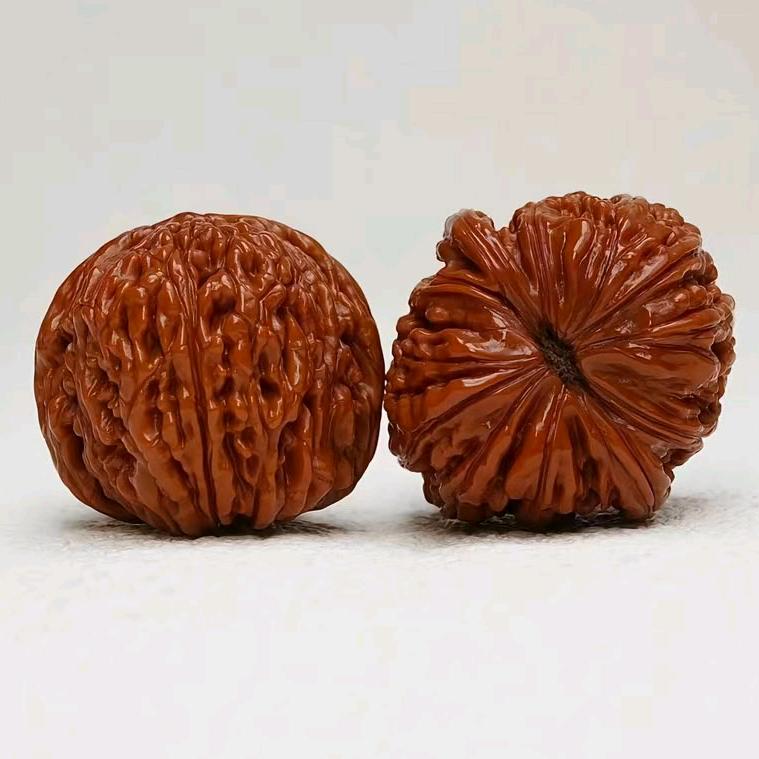 天天精品文玩