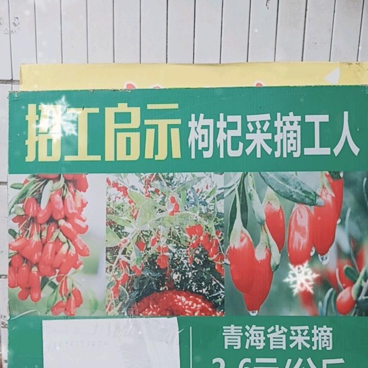 四川中江锦鸿人力资源有限公司