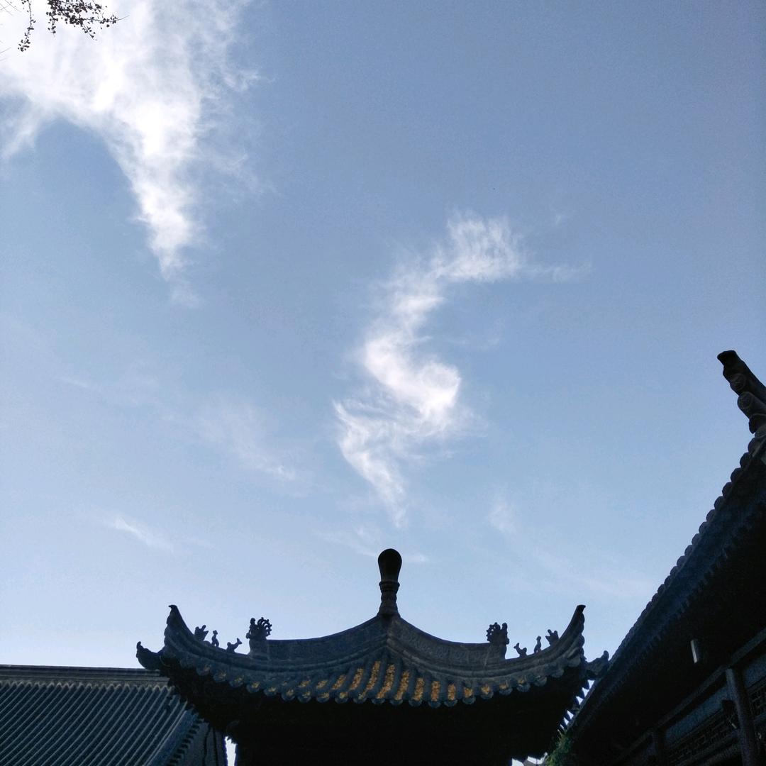 顺其自然