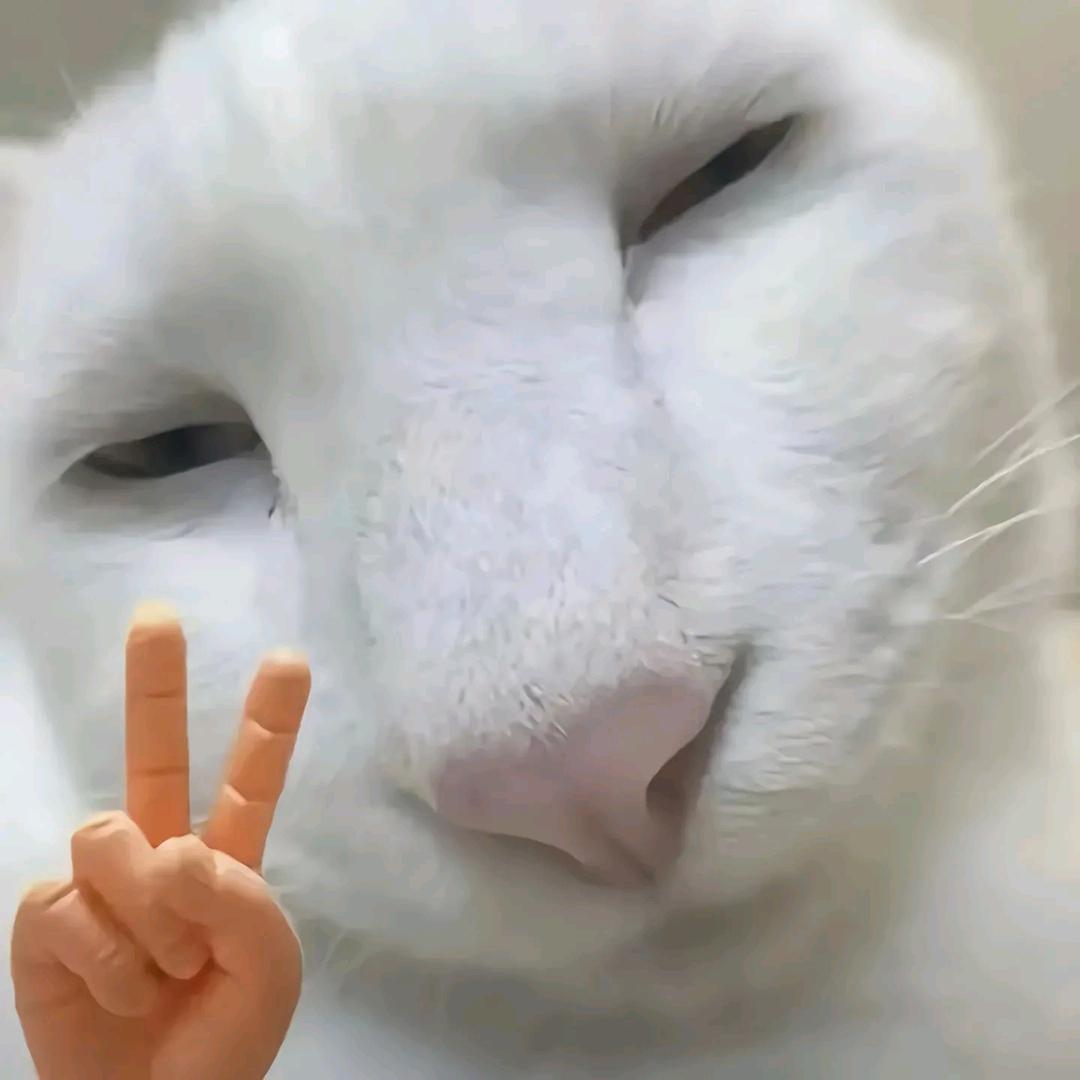 一拳打倒马东锡
