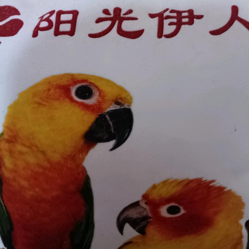 东方明珠