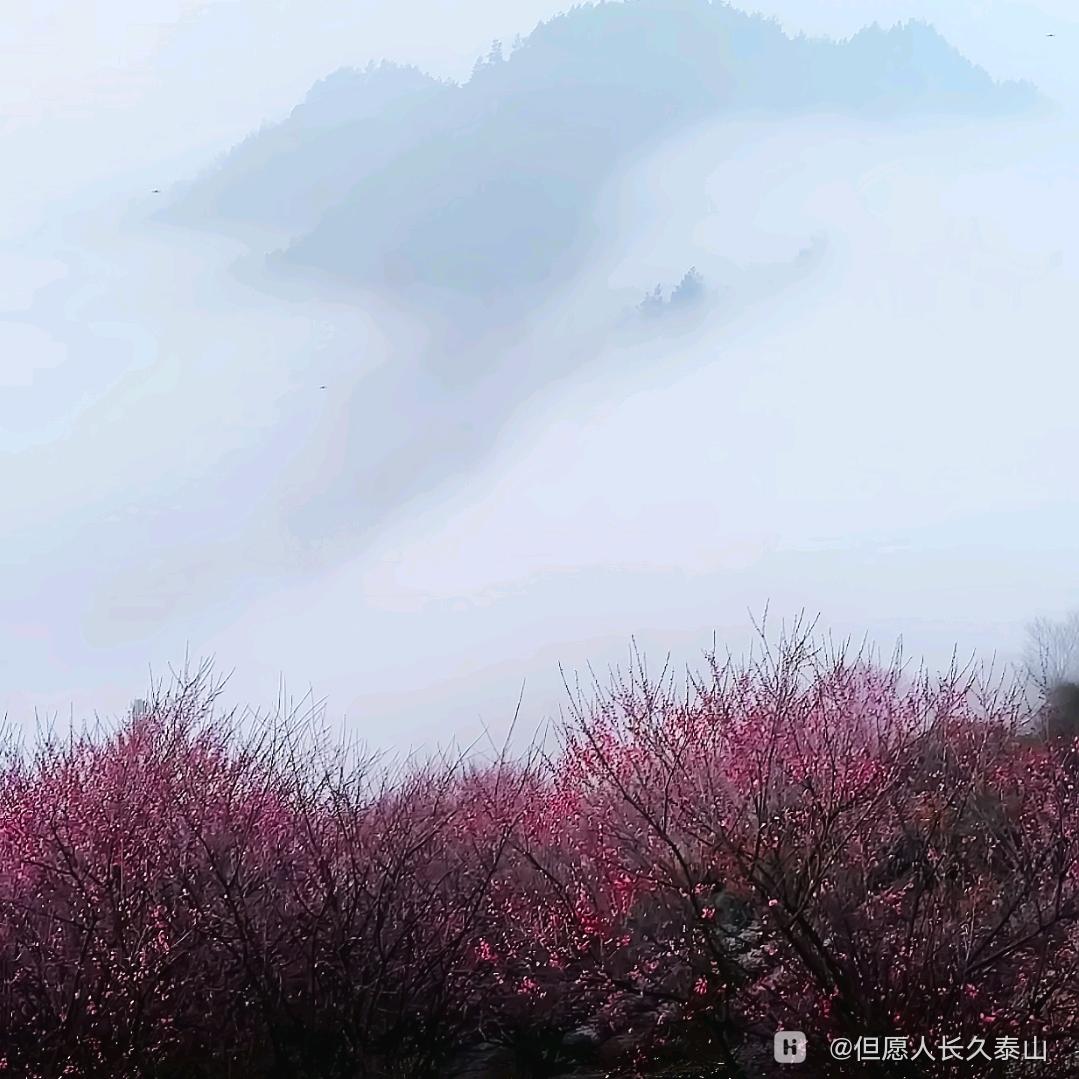破簡重生