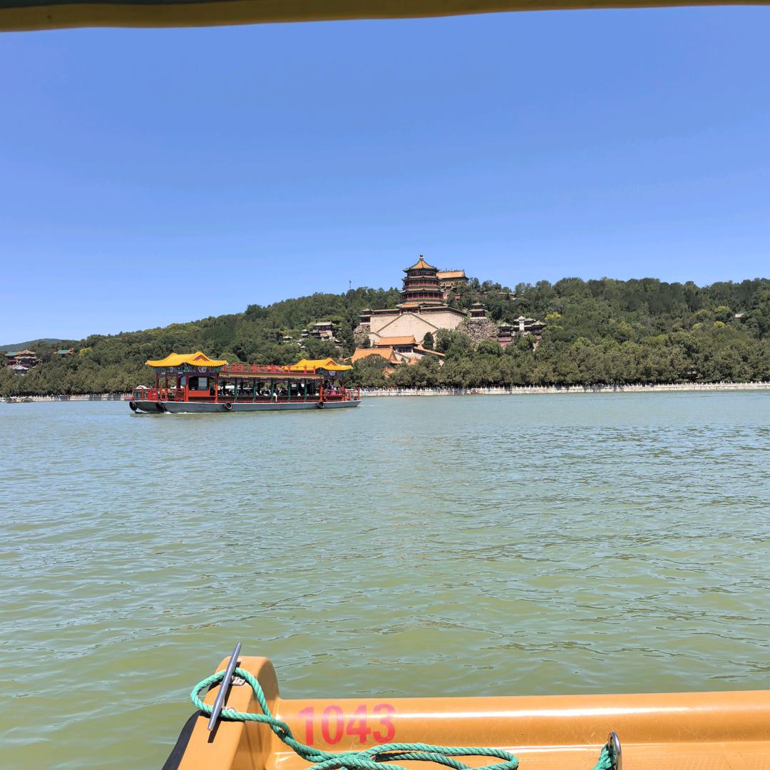 隔壁小陈