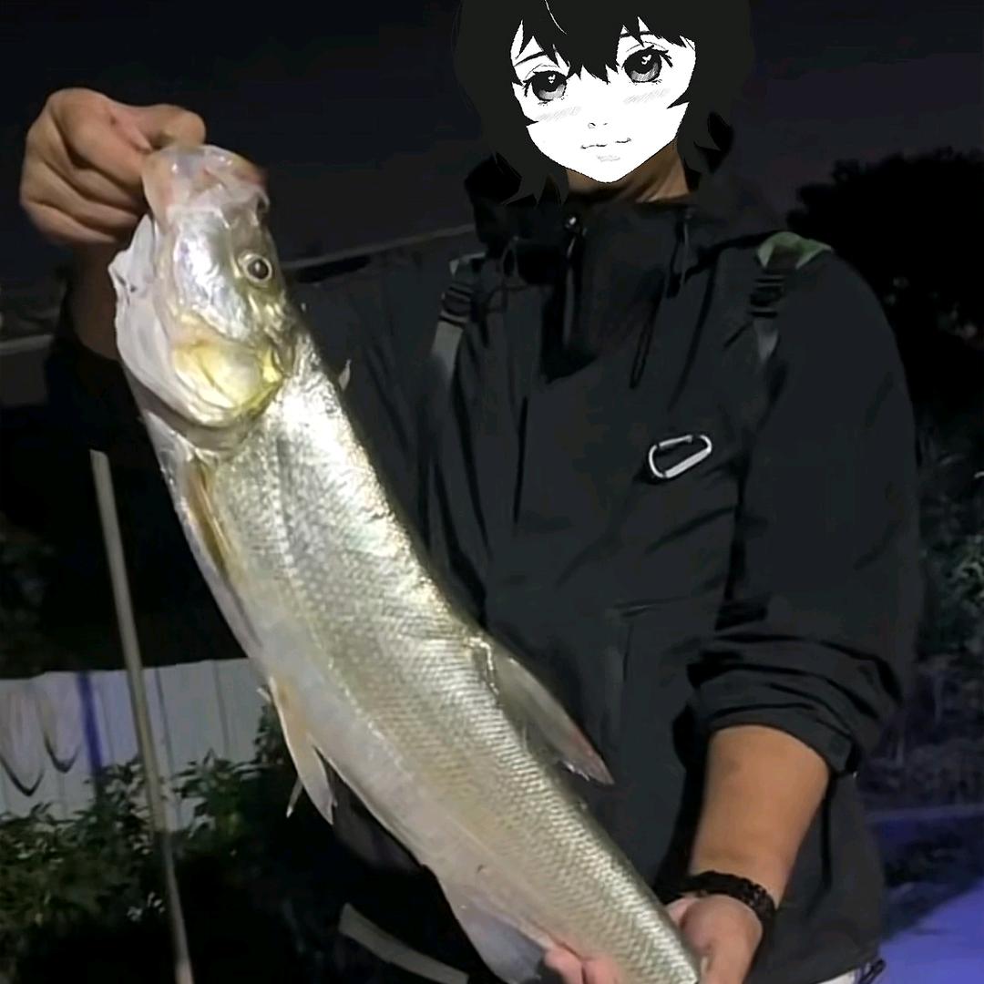 阿D 🎣
