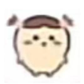 冷漠的保暖内衣