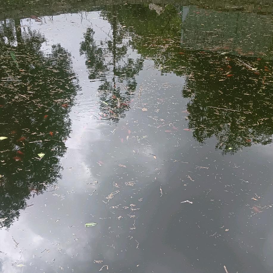 时光唤醒了我