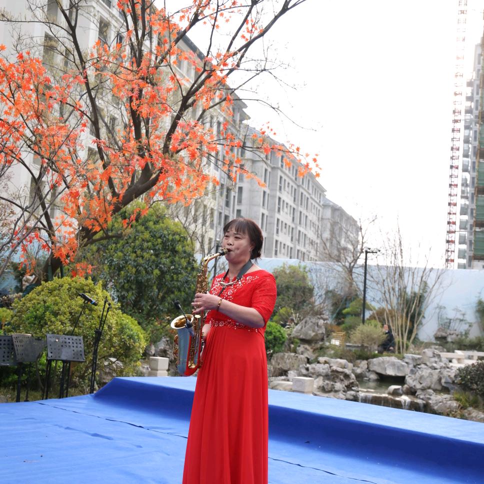 🎷花好月圆🎷